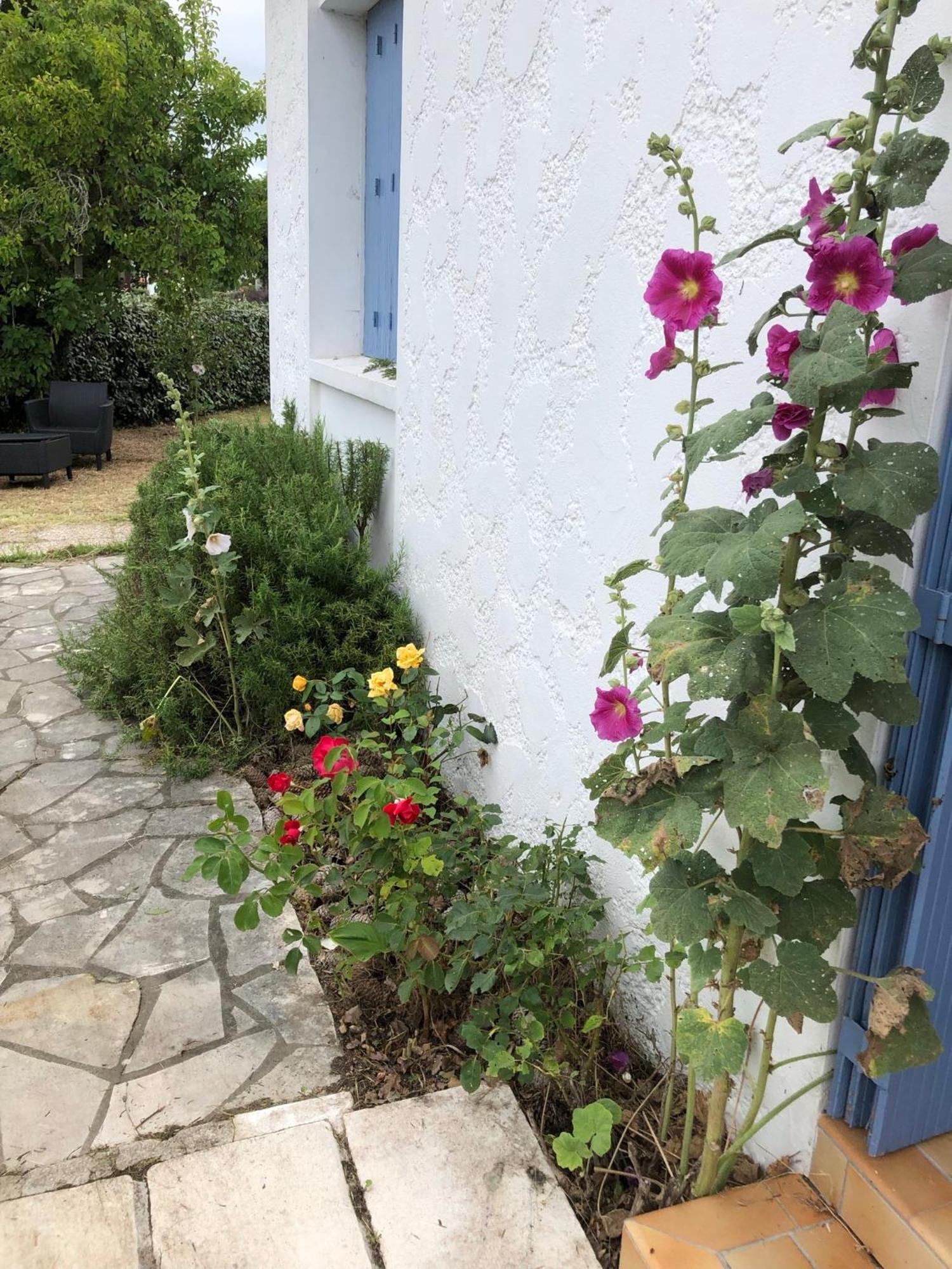 Almigeda Villa Les Mathes Bagian luar foto